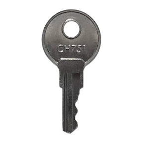 2 keys Bauer 300 Series Precut Keys 301-360 RV Trailer Keys 1 Pair